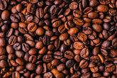 What is specialty coffee?